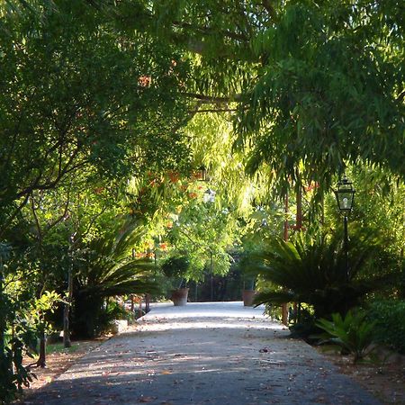 Finca Cas Sant Сольер Экстерьер фото